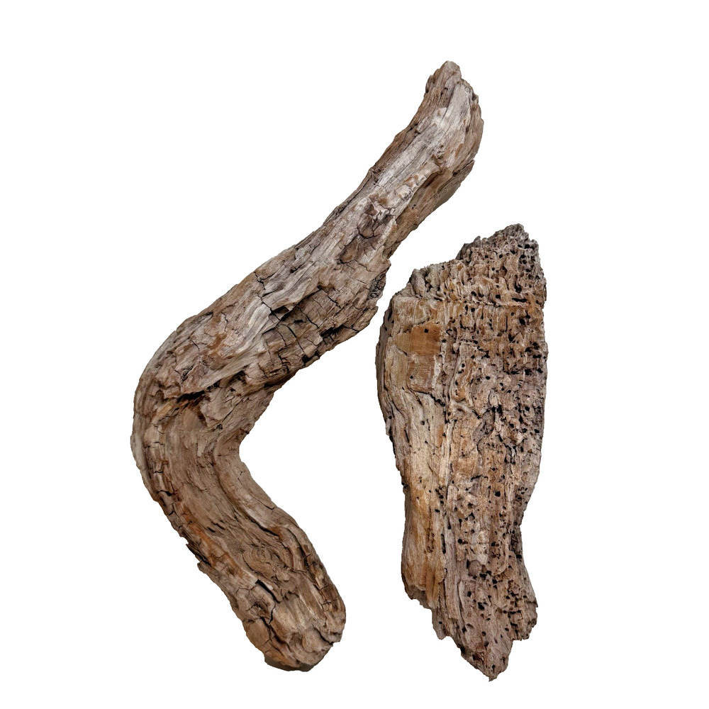 Set of 2 California Natural Driftwood Wavy Burlwood Terrarium Aquarium Craft